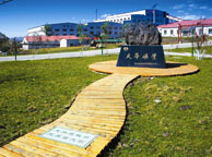 双鸭山天华矿业集团