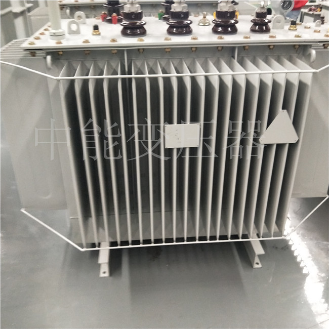 双鸭山S20-800KVA变压器